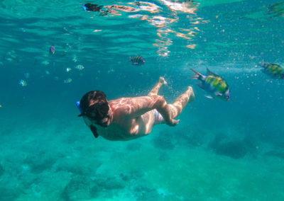 Snorkeling nos melhores lugares de Phi Phi
