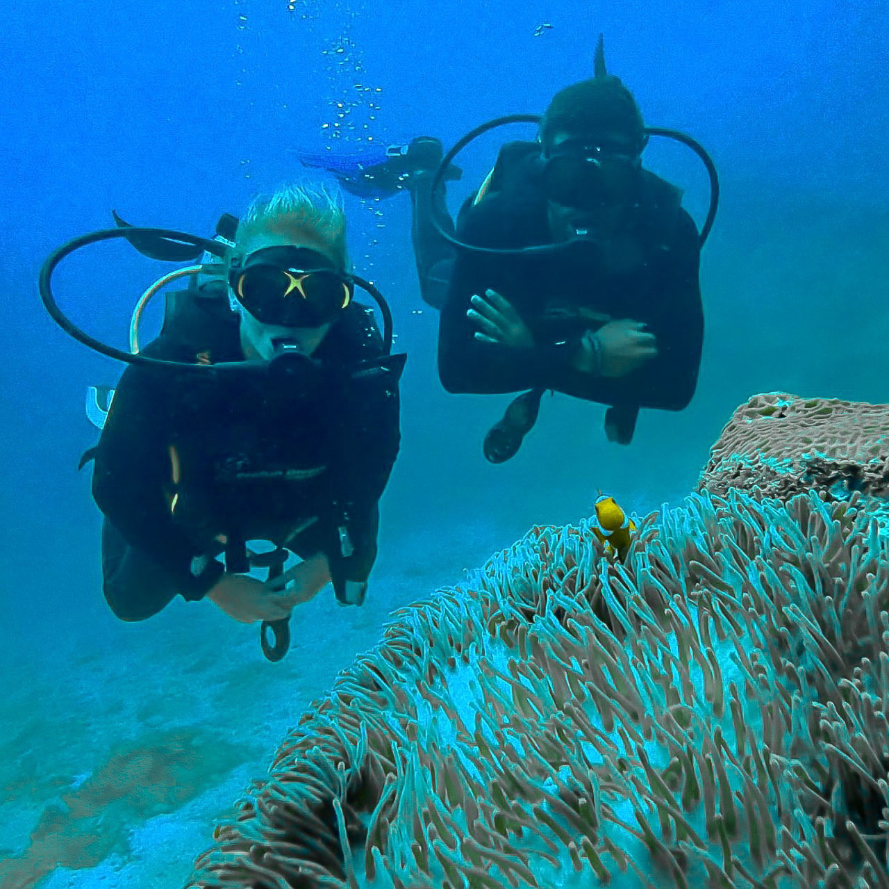 Roteiro em Phi Phi: mergulho com cilindro é uma das coisas para fazer nas ilhas