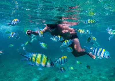 Snorkel em Phi Phi, com peixinhos coloridos e uma vida marinha bem ativa