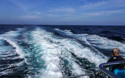 Como ir de Krabi a Phi Phi: Horário de ferry e distância