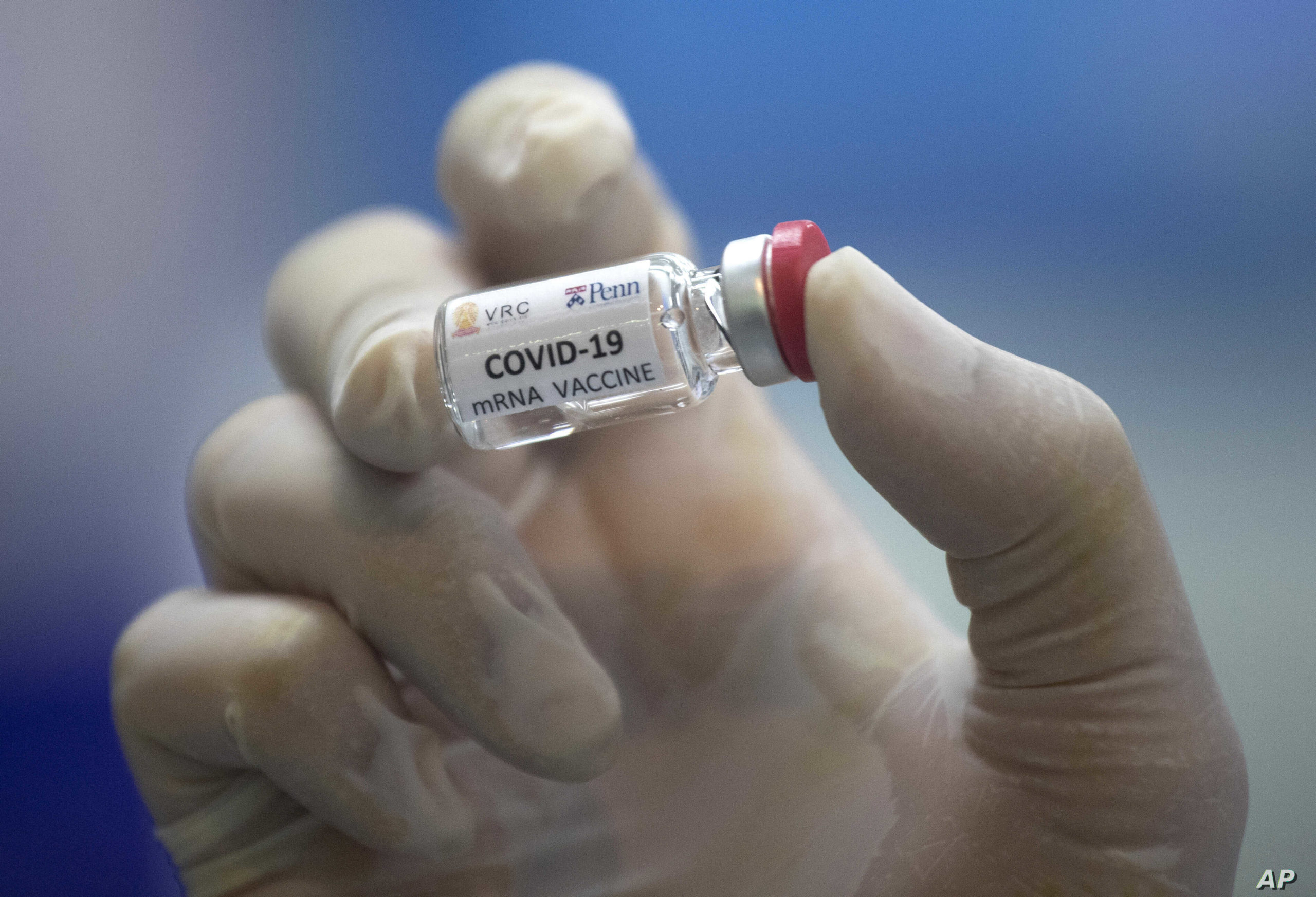 Vacina contra o coronavírus.