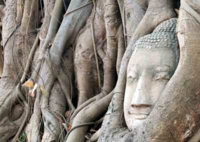 Passeio para Ayutthaya - cabeça de Buda na árvore