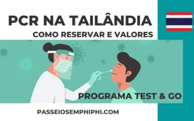 Cobras na Tailândia: tudo sobre a infestação dos animais